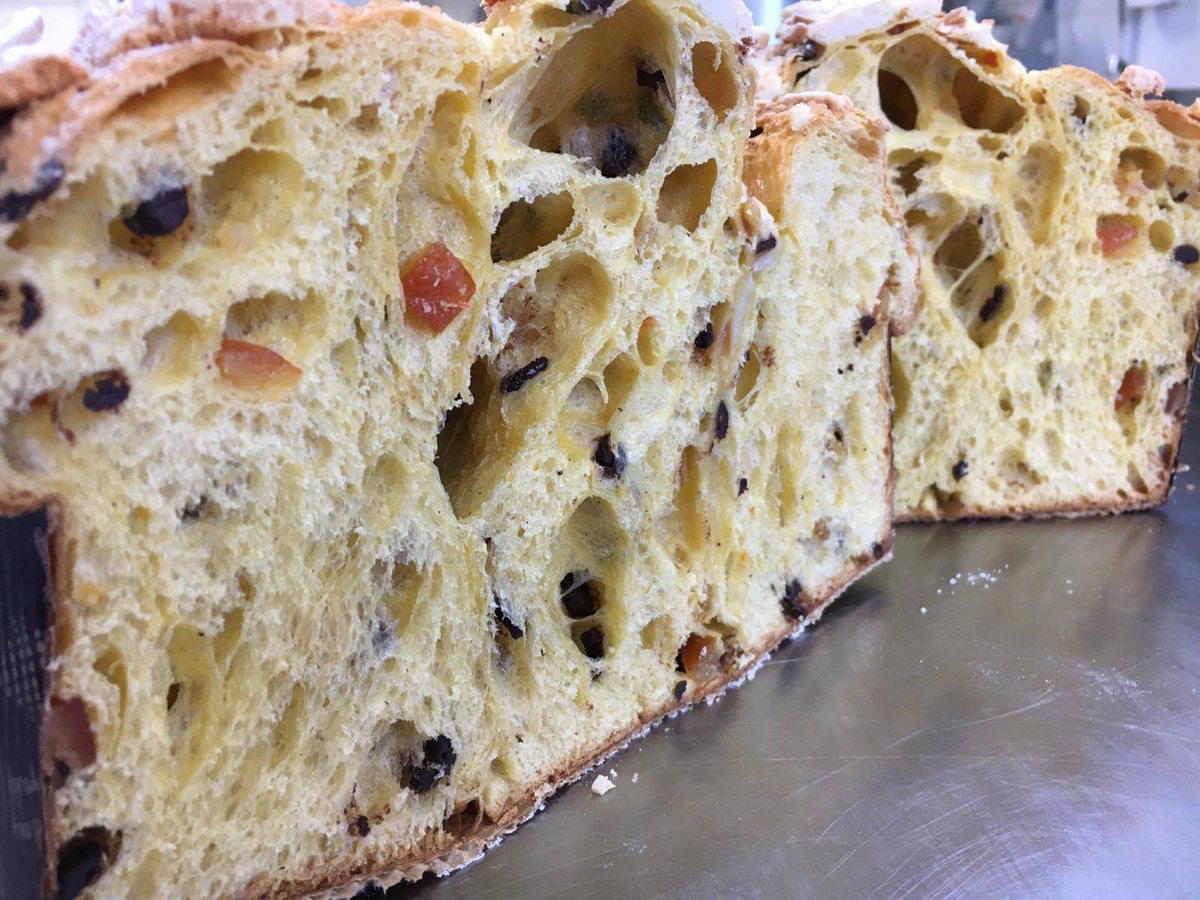 Colomba Vice Italia