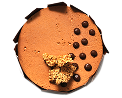 Torte Vice Italia